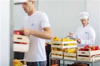 High quality catering services fresh food control fruits in boxes High quality catering services fresh food control fruits in boxes