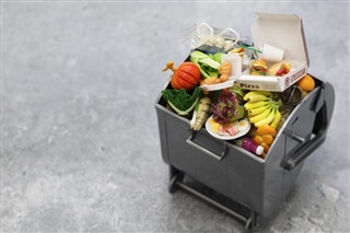 stand against food waste