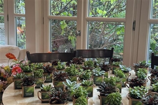 Markas Nachhaltigkeit Event