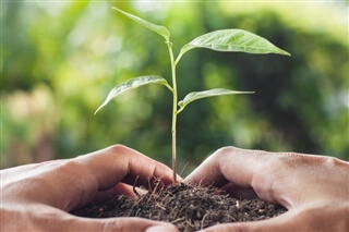 Sustainability, nature Sustainability, nature