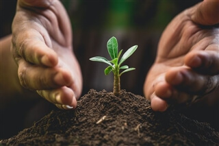 sustainable corporate behavior sustainable corporate behavior