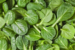 Eat Your Vegetables Day