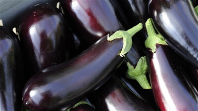 Verdure di stagione: pomodori
