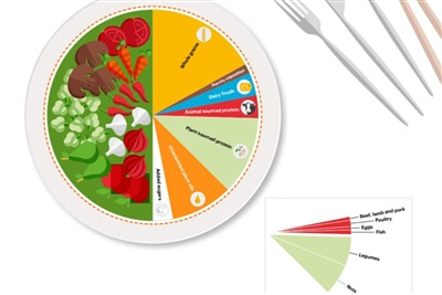Für eine gesunde Ernährung Für eine gesunde Ernährung