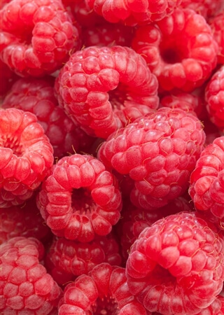 gelato fatto in casa a base di frutta - frutta di bosco