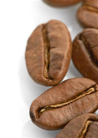 surprising coffee facts - zoomed in surprising coffee facts - zoomed in