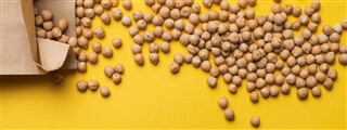 legume facts - chickpeas