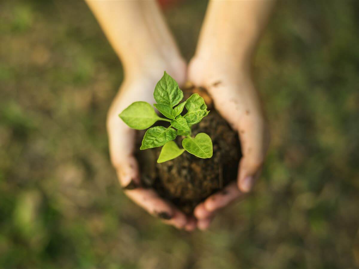 corporate sustainability
