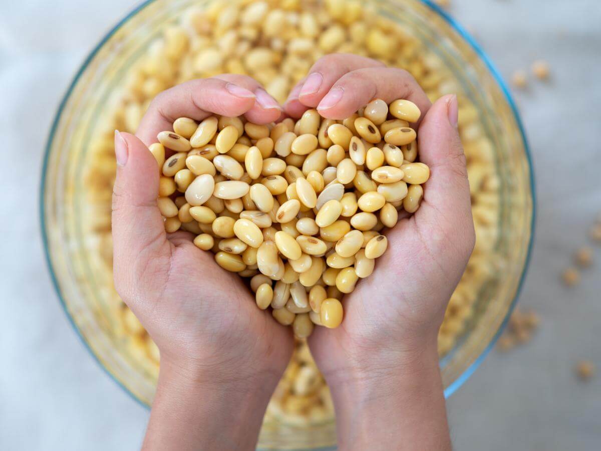 Legumes and pulses: fun facts