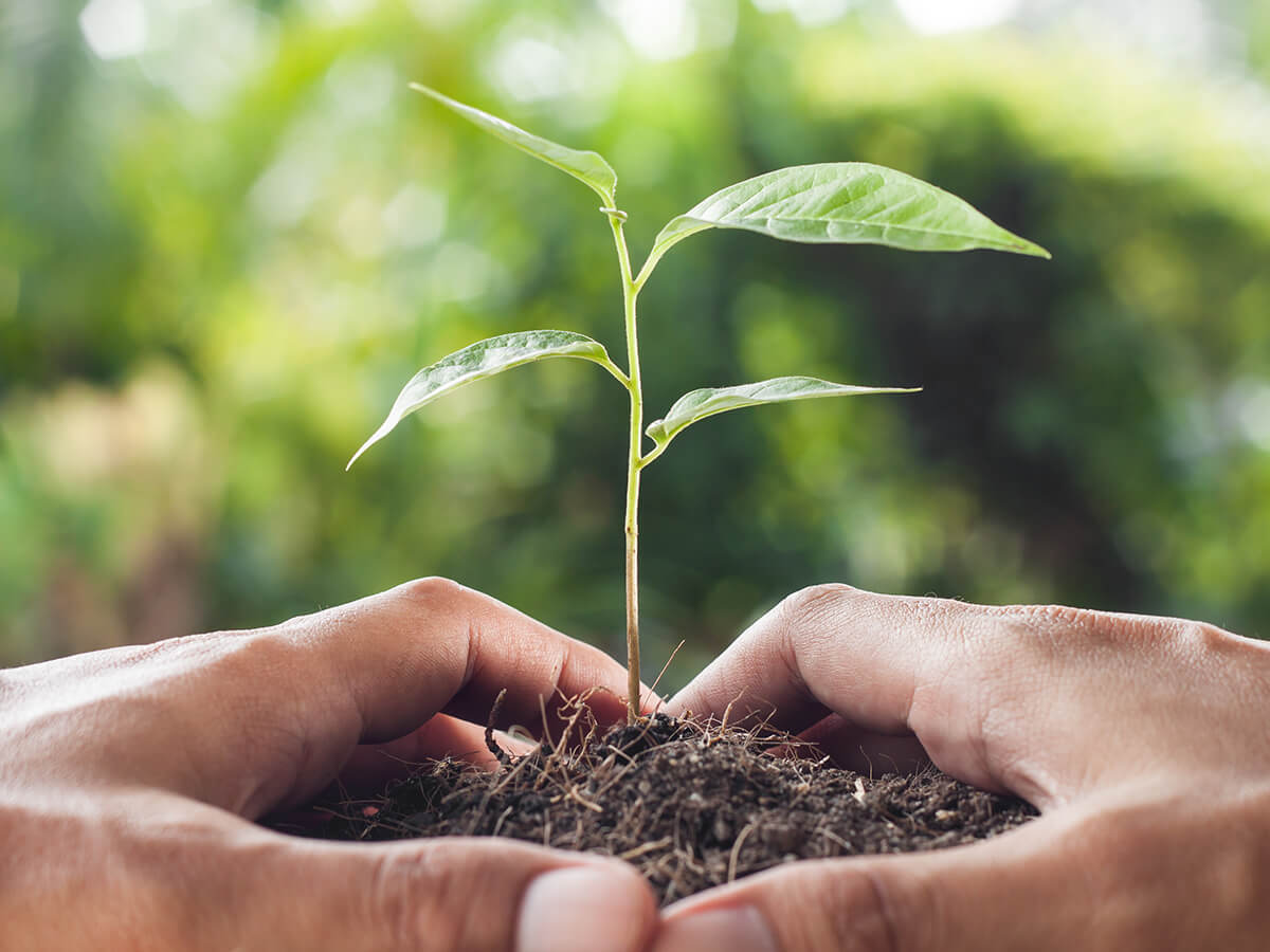 sustainability and collective catering for a better future sustainability and collective catering for a better future